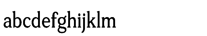 Tonkin Serif Condensed Medium FONT