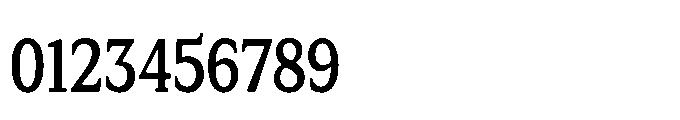 Tonkin Serif Condensed Semi Bold Font OTHER CHARS