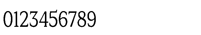 Tonkin Serif Condensed Font OTHER CHARS