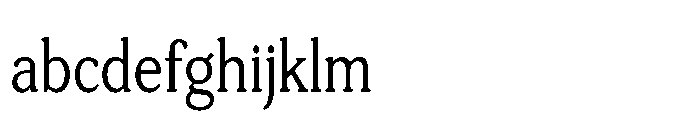Tonkin Serif Condensed FONT