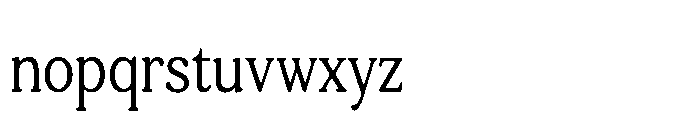Tonkin Serif Condensed Font LOWERCASE