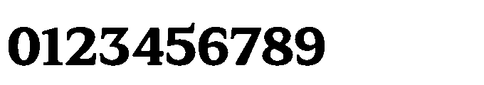 Tonkin Serif Extra Bold Font OTHER CHARS