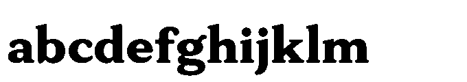 Tonkin Serif Extra Bold FONT