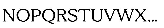 Tonkin Serif Regular Font UPPERCASE