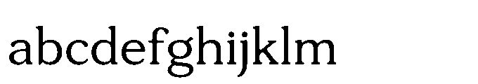 Tonkin Serif Regular Font LOWERCASE