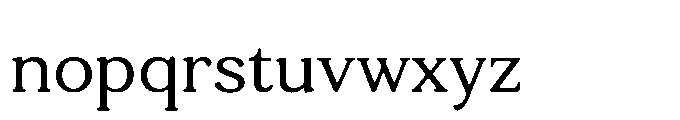 Tonkin Serif Regular Font LOWERCASE