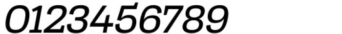 Tonus Slab Regular Italic Font OTHER CHARS