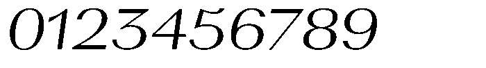 Toplica Pro Light Italic Font OTHER CHARS