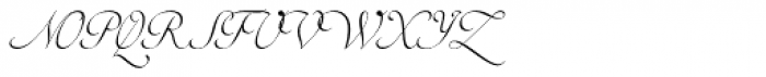 Torio Script Font UPPERCASE