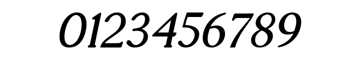 Toplar-BoldItalic Font OTHER CHARS