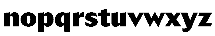 Trust 1A Black Font LOWERCASE