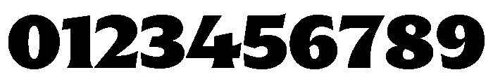 Trust 3A XBlack Font OTHER CHARS