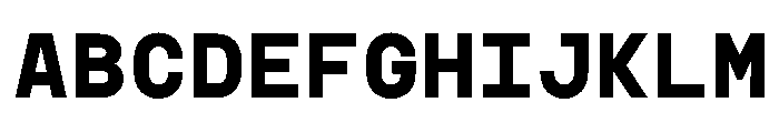 TRT INTERVAL Bold Font UPPERCASE