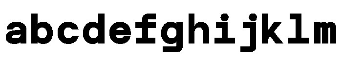 TRT INTERVAL Bold FONT