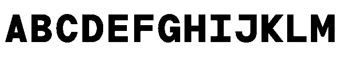 TRT Terminal Mono Bold Font UPPERCASE