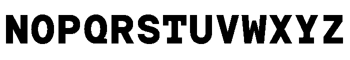 TRT Terminal Mono Bold Font UPPERCASE