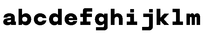 TRT Terminal Mono Bold FONT