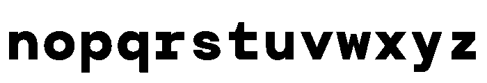 TRT Terminal Mono Bold Font LOWERCASE
