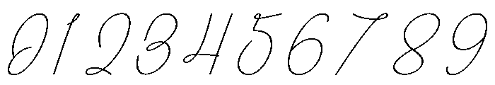 Training Font OTHER CHARS