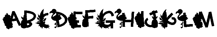 Tropical Vibes CF Font UPPERCASE