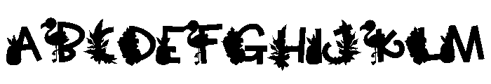 Tropical Vibes CF FONT