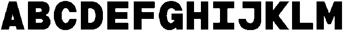 TRT Terminal Mono Extra Bold otf (700) Font UPPERCASE
