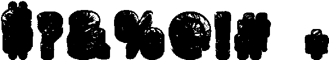 TrashType Regular otf (400) Font OTHER CHARS