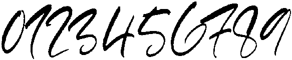 Tropical Garden Regular otf (400) Font OTHER CHARS