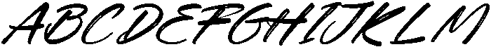 Tropics Sometimes Beaches Itali Italic otf (400) Font UPPERCASE