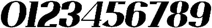 Trotty Black Italic ttf (900) Font OTHER CHARS