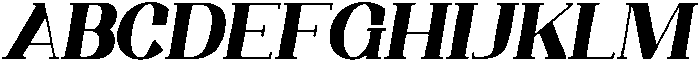 Trotty Black Italic ttf (900) Font UPPERCASE