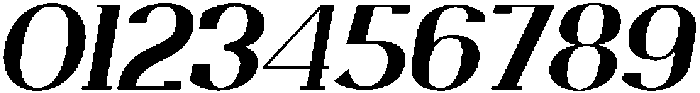 Trotty Bold Italic ttf (700) Font OTHER CHARS