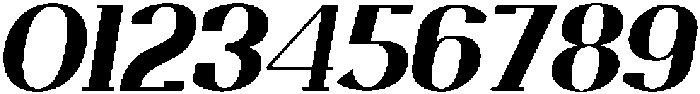 Trotty Extra Bold Italic ttf (700) Font OTHER CHARS