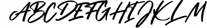 Tribista - Handwritten Signature Font Font UPPERCASE