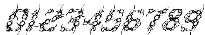 Tribou-Italic Font OTHER CHARS