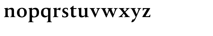 Tramuntana Pro Caption Pro Bold Font LOWERCASE