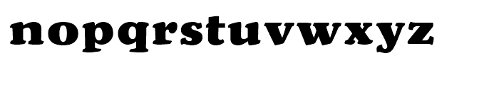 Trybuna Bold Font LOWERCASE