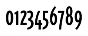 Triplex Condensed Regular Font OTHER CHARS