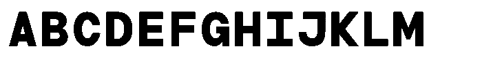 TRT Typeport Mono Bold Font UPPERCASE