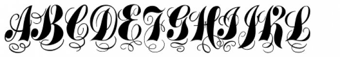 Treasury Font - What Font Is
