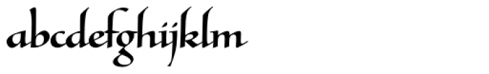 Tresillian Script Medium Font LOWERCASE