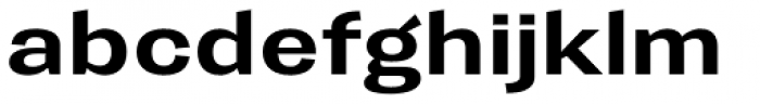 Trivia Gothic E2 SemiExpanded Bold Font LOWERCASE