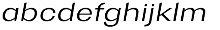 Trivia Gothic E2 SemiExpanded Light Italic Font LOWERCASE