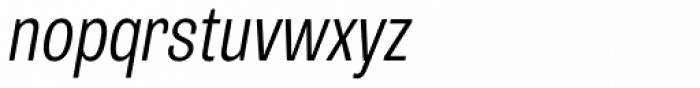 Trivia Grotesk N2 Italic Font LOWERCASE