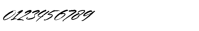 Tropical Coastal Italic Font OTHER CHARS