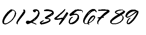 Tropics Sometimes Font OTHER CHARS