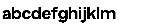 True Arabic Extrabold FONT