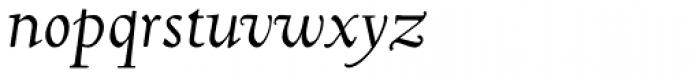 Truesdell Std Italic Font LOWERCASE