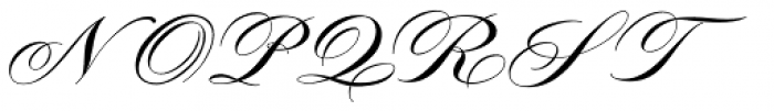 Tryst Monogram (1000 Impressions) Font UPPERCASE