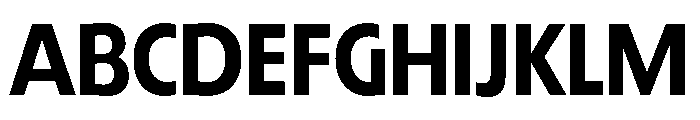TRIALRing Bold Font UPPERCASE